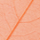 Ukrasni list za nokte LD - Narandžasta