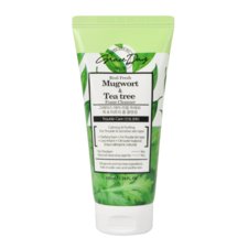 Foam Cleanser for Trouble & Sensitive Skin GRACE DAY Mugwort & Tea Tree 100ml