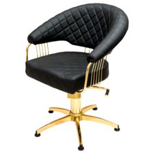 Salon Chair BTK-030 Gold