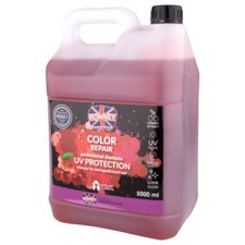 Shampoo Colour Protect for Dyed and Matte Hair RONNEY Cherry 5L