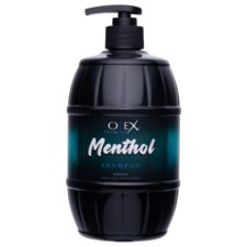 Shampoo for Oil Hair TOTEX Menthol 750ml