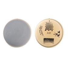 Stamping Nail Art Image Plate Form A31